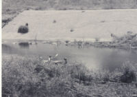 Canoeing on the Los Angeles River