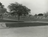 Photograph of Los Angeles, street level