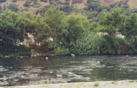 Photograph of the Los Angeles River at Griffith Park