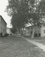 Photograph of Los Angeles neighborhood