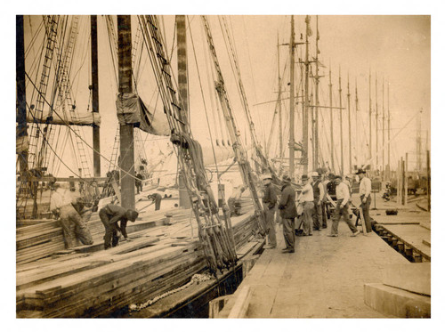 Ship unloading lumbers at Long Beach Harbor