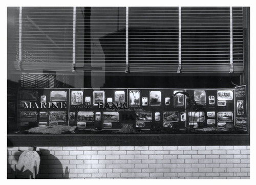 Display window of Marine Trust and Savings Bank