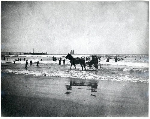 Horse and buggy on the beach