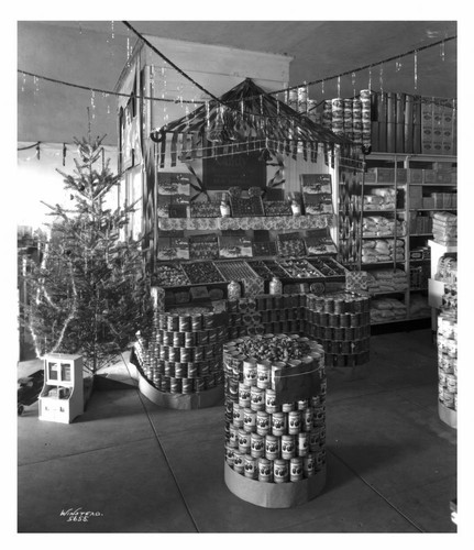 Grocery store interior