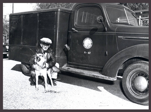 Animal control officer with dog and truck