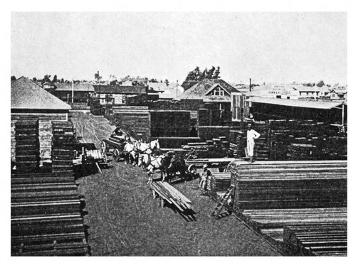 San Pedro Lumber Company