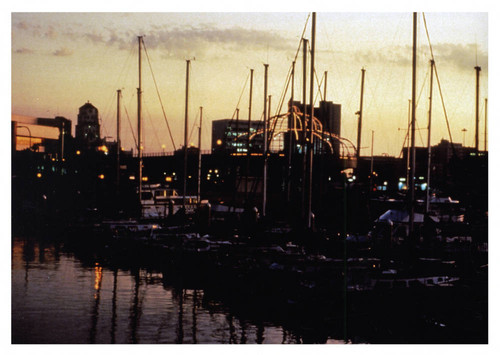 Boats moored near Shoreline Village at Sunset