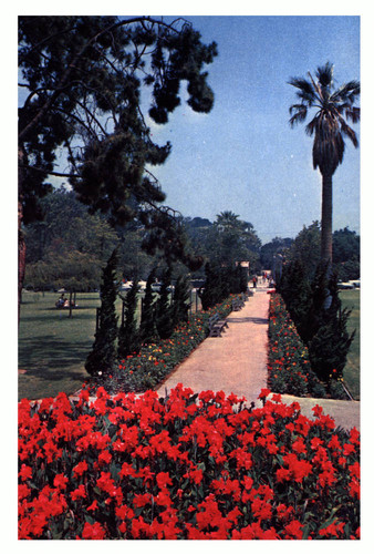 Bixby Park landscaping