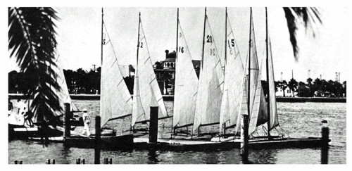 Alamitos skimmers, 1931