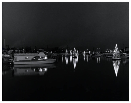 Alamitos Bay Christmas trees