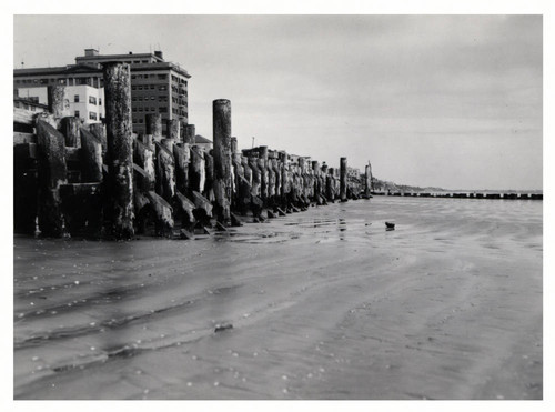 The beach southeast of the Pacific Coast Club