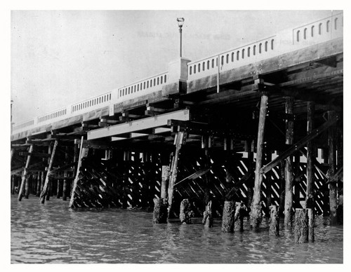 Wooden bridge supports