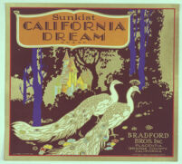 Sunkist California Dream Brand : Bradford Bros. Inc. Placentia, Orange County, California