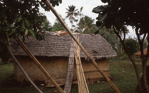 Bamboo materials for house construction