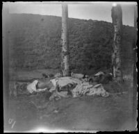 Armenian massacre victims laid out in the Armenian Gregorian Cemetery, Erzurum, Turkey, 1895