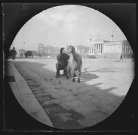 Milkman with his goat on the street in front of Athens University, Athens, 1891