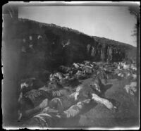 Armenian massacre victims laid out in the Armenian Gregorian Cemetery, Erzurum, Turkey, 1895