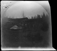 Cotton-ginning mill visited by William Sachtleben during his bicycle tour, Tashkent, Uzbekistan, 1891