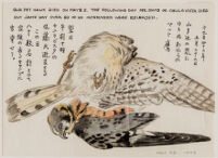 Our pet hawk died, 1942 May 22