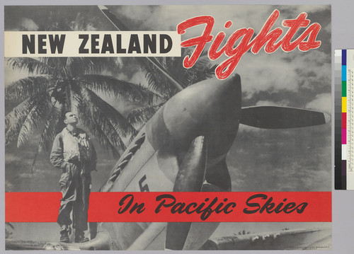 New Zealand Fight : in Pacific Skies