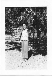 Mrs. Taniguchi standing in her apple orchard on Bloomfield Road, Sebastopol, California, 1930s