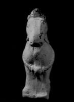 Caparisoned horse, front view — Calisphere