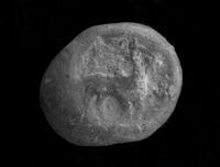 Seal
