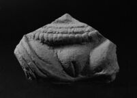 Female figure fragment — Calisphere