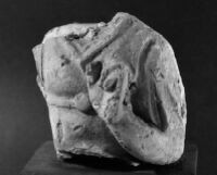 Male torso fragment — Calisphere