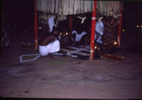 Sarpam Thullal Pulluvan Serpent Ritual - ritualists create a kalam ...