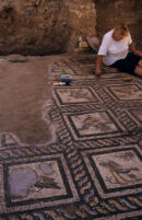 Clearing and cleaning Mosaic A5