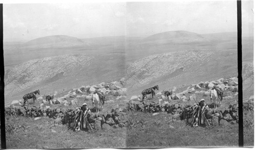 From Slope of Moreh to Mt Tabor. N.E. Palestine. Asia