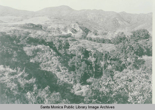 Looking up Temescal Canyon to Sunset Blvd. and where Pacific Palisades High School stands today