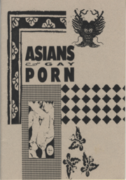 Asians & Gay Porn booklet