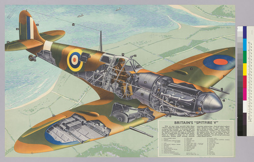 Britain's "spitfire V"