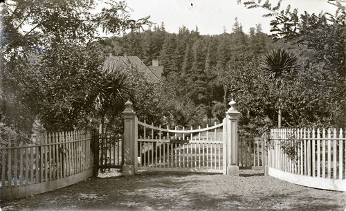 Gate and drive to the Charles Bach estate in Kentfield, Marin County, California circa 1902 [photograph]
