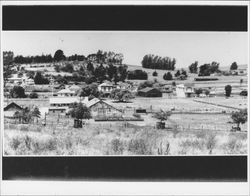 View of Bloomfield, California, looking north, , 1955