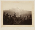 Mt. Shasta, No. 463