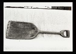 Luther Burbank's wood shovel, 1985