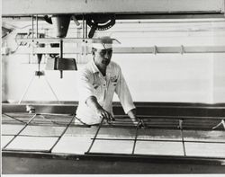 Charlie Matteri puts metal frames over a vat of milk at the Petaluma Cooperative Creamery, about 1955