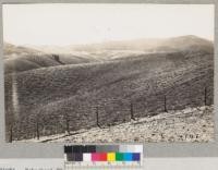 Tehachapi Flood of September 1932. General view of gulleyed slopes in cloudburst area towards Oak Creek Divide. Lowdermilk