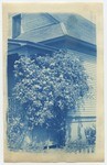 [Early Lummis residence], views 1-2