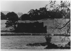Brick walls of a ruined barn in an unidentified oak woodland, 1960s or 1970s