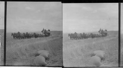 A Combined Harvester at Work, Washington
