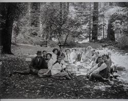 Unidentified group picnicking in Armstrong Grove, Guerneville, California, about 1910