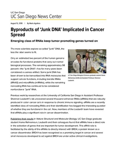 Byproducts of ‘Junk DNA’ Implicated in Cancer Spread