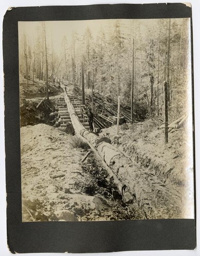 Method of hauling logs down mountain to mill, California