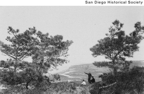 Three men between two Torrey pine trees on a cliff overlooking a beach with Del Mar in the distance