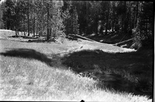 Meadow Studies, #12 shows junction of the two streams - left is largest. Misc. Resource Management Concerns