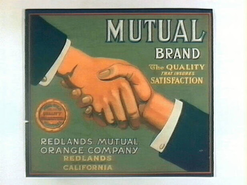 Mutual Brand